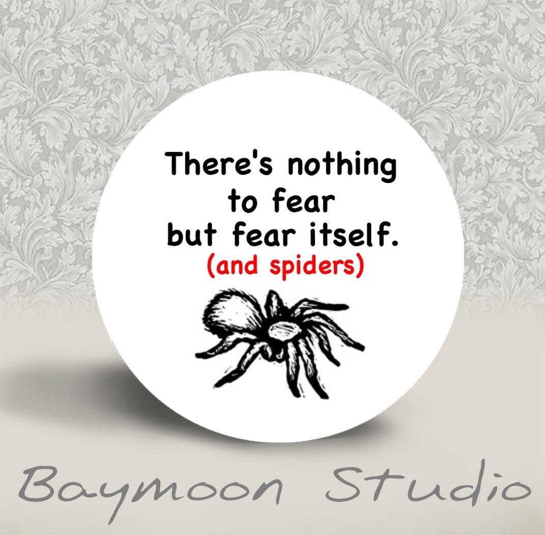 There's Nothing to Fear But Fear Itself and Spiders - PINBACK BUTTON - 1.25 inch round