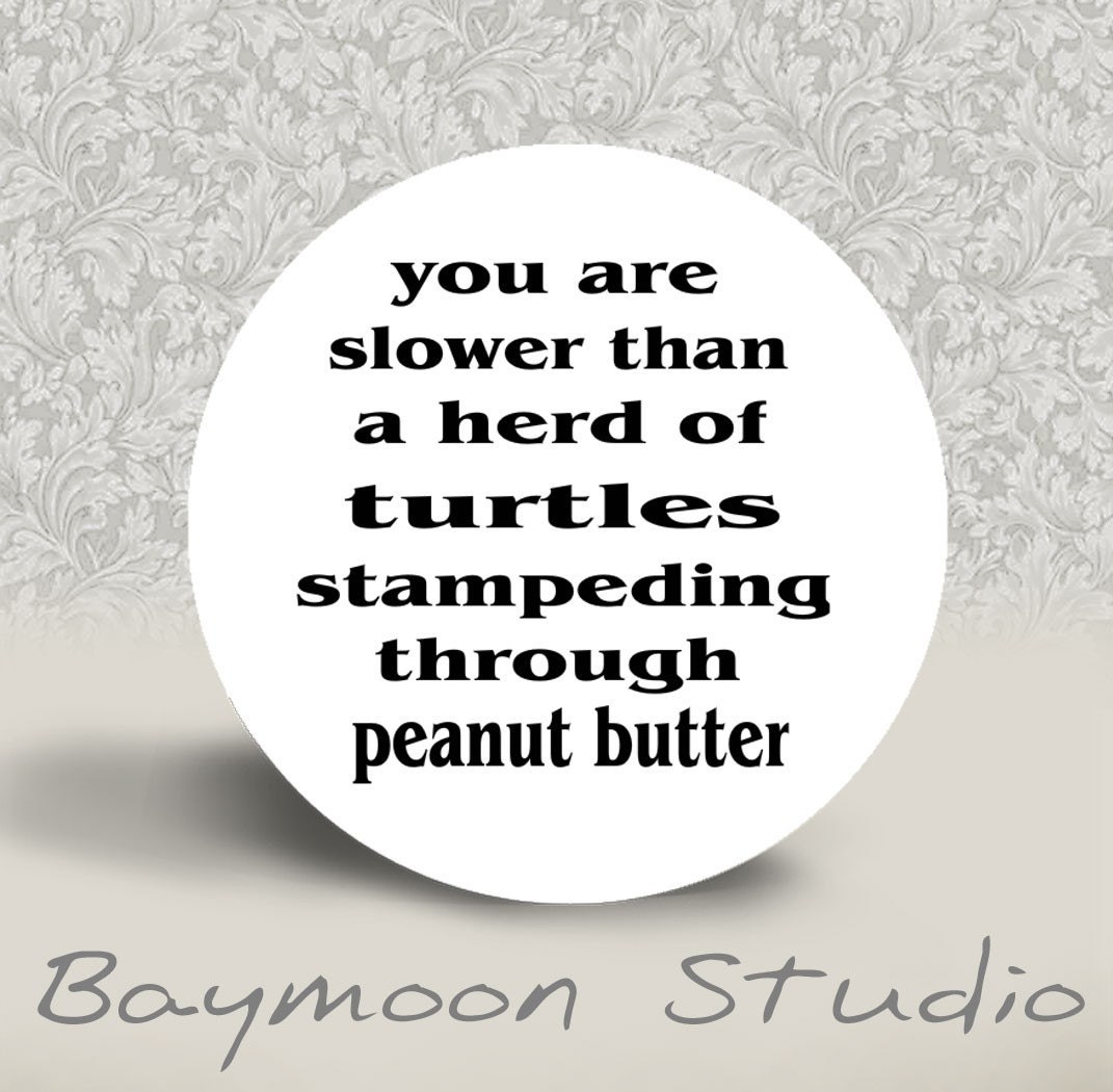 You are Slower than a Herd of Turtles Stampeding through Peanut Butter - PINBACK BUTTON - 1.25 inch round