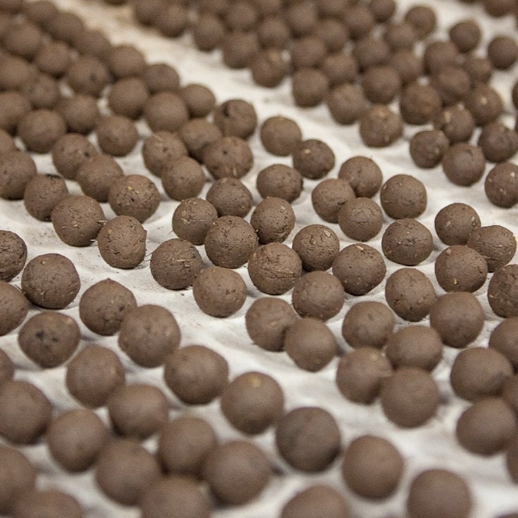 West Coast Wildflower Seed Bombs - Bird Bee and Butterfly Friendly DIY Guerilla Gardening Seeds Seed Balls