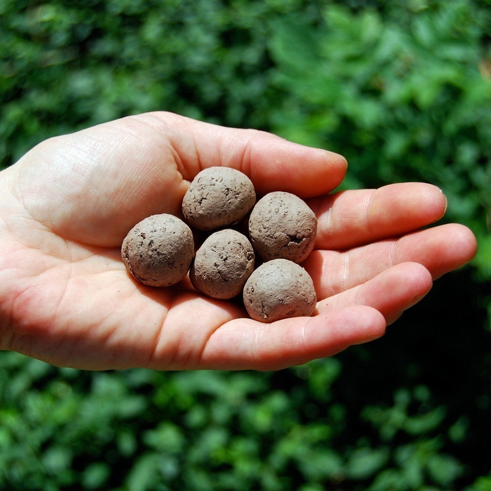 East Coast Seed Bombs - Bird Bee and Butterfly Friendly DIY Guerilla Gardening Seeds Seed Balls