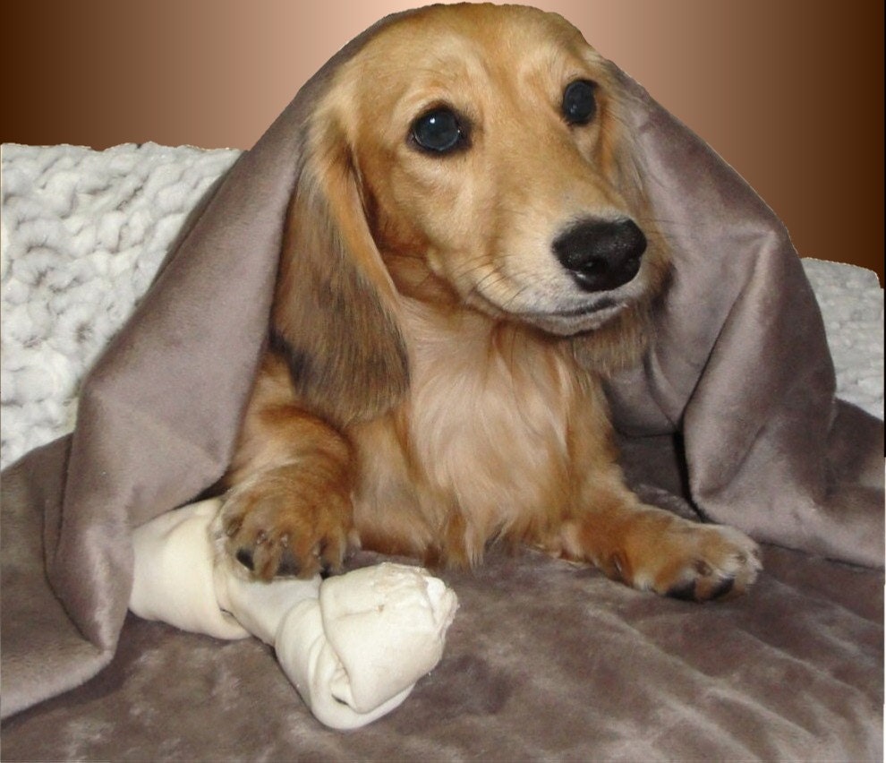 Winter White on Taupe Snuggle Sack - Feather Faux Fur - Includes Embroidered Personalization
