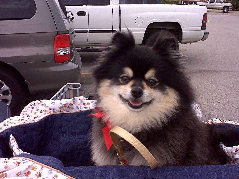 Shopping Cart Cover for Dogs - Quilted Denim - Customize the Skirt Color and Pattern - embroidered tote