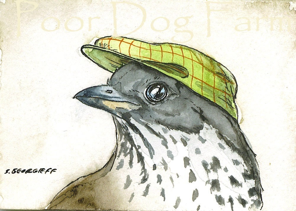 A Smooth Thrush- 5 x 7 print