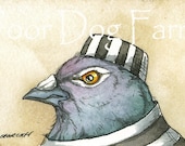ACEO signed Print - JAILBIRDS - Inmate n0. 4-  Pigeon's brother, Pigeon