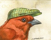 ACEO signed PRINT - Red Crested Tanger -
