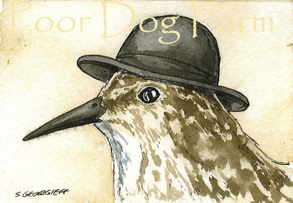 ACEO signed PRINT -Sandpiper with hat