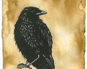 OLd CrOw
