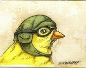 ACEO signed PRINT - Birds in helmets n0.2 -