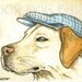 A Yellow Lab  with a hat- print 5x7