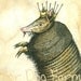 Armadillo King (an original hand painted king)