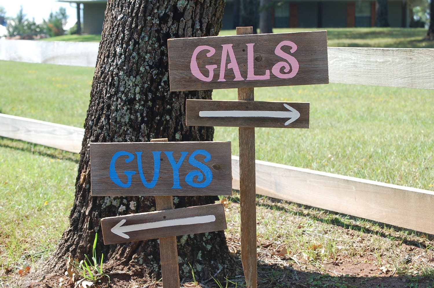 Beach Boys and Surfer Girls door signs. In Pink and Blue.  No stakes. Ships in 2 weeks.