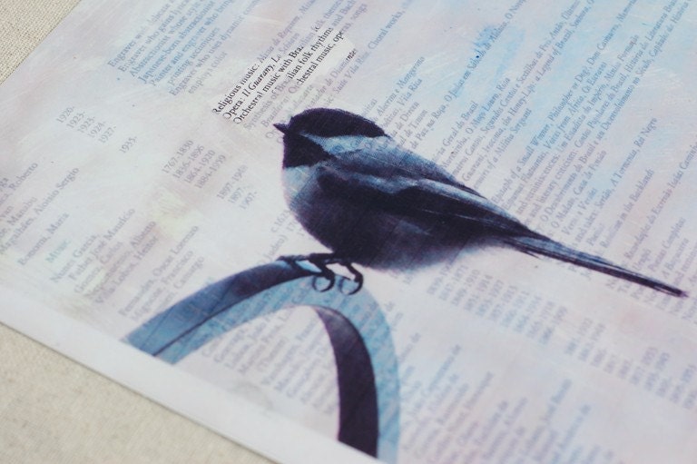 Perched Chickadee -- 8x10 Archival Print