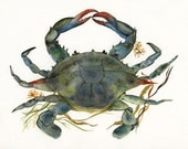 Crab watercolor-crab Art-Beach House Decor, Blue Crab Print-ocean, beach, nautical,decor