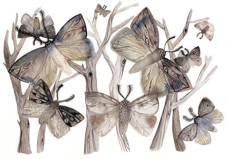 Moth Watercolor Print- Moths  No. 1 - large print, grey, autumn, earth tones, pattern - amberalexander