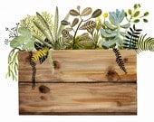 Watercolor painting- print- Crate and Plants Print, botanical, wood, succulents