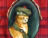 Angus- Scottish Kitten