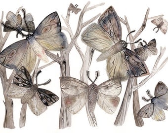 watercolor painting- Moth Watercolor Print- Moths  No. 1 - large print, grey, autumn, earth tones, pattern