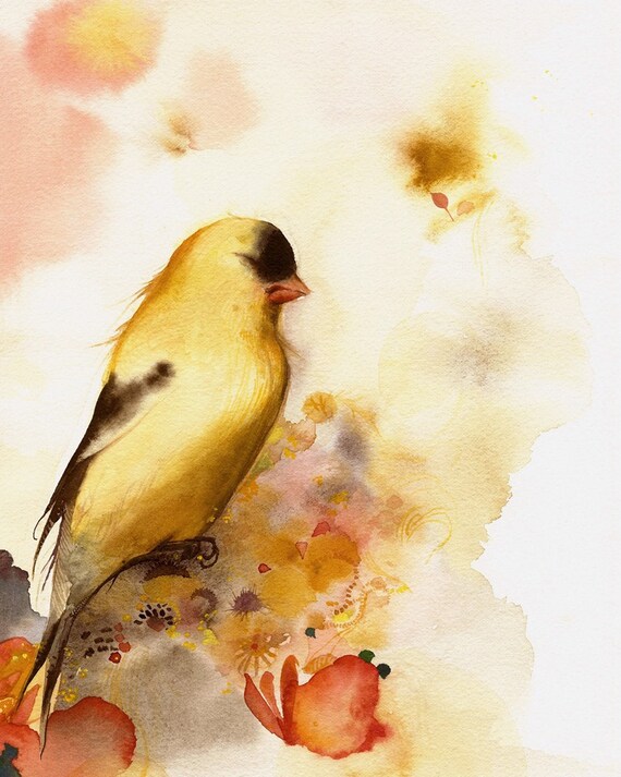 A Short Rest - Bird Art
