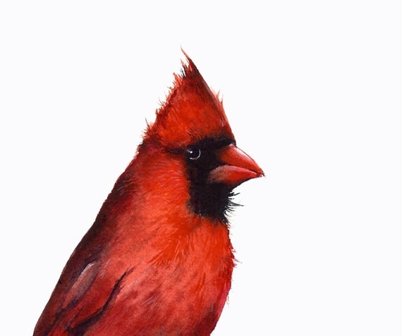 Cardinal print of watercolor painting- bird watercolor,cardinal painting, bird art, nature
