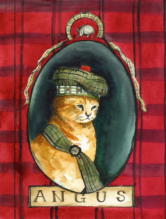 Angus- Scottish Kitten