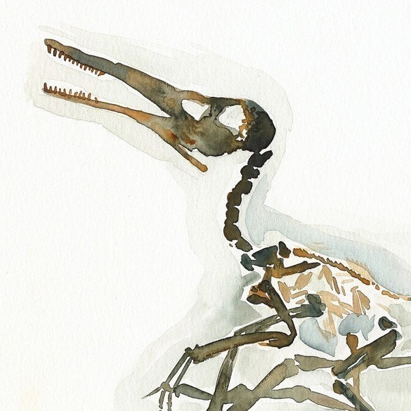 Pterodactyl (wants a cracker) -large 11 x 14" archival print, dinosaur