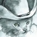 Desperado- Cat Art, cowboy, western, children, boys room