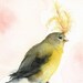 Showgirl- Bird Art