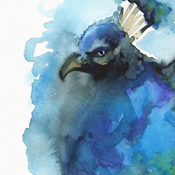 Peacock art- Sprirograph Blue