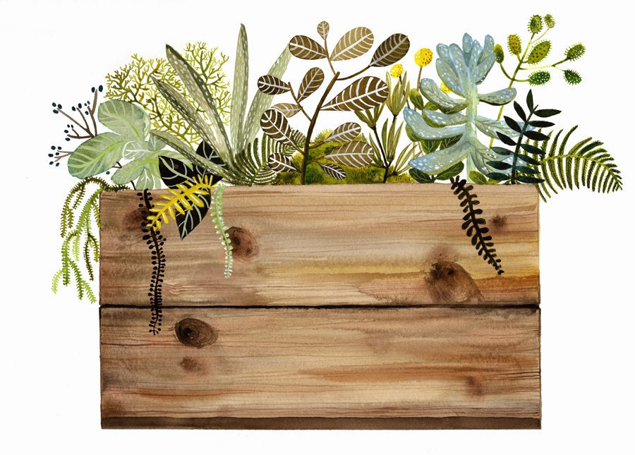 Watercolor painting- print- Crate and Plants Print, botanical, wood, succulents
