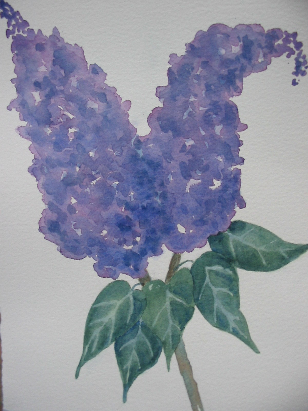 Lilacs in the Spring-ORIGINAL watercolor painting