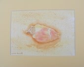 Seashell-Original Watercolor