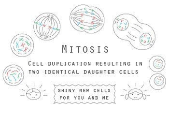 Mitosis Embroidery Pattern