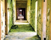 Ephemeral Light -  8x10 Abandoned Urbex Art Photography by Forgotten Beauty, Beautiful decay in ruined gold green hallway, home decor