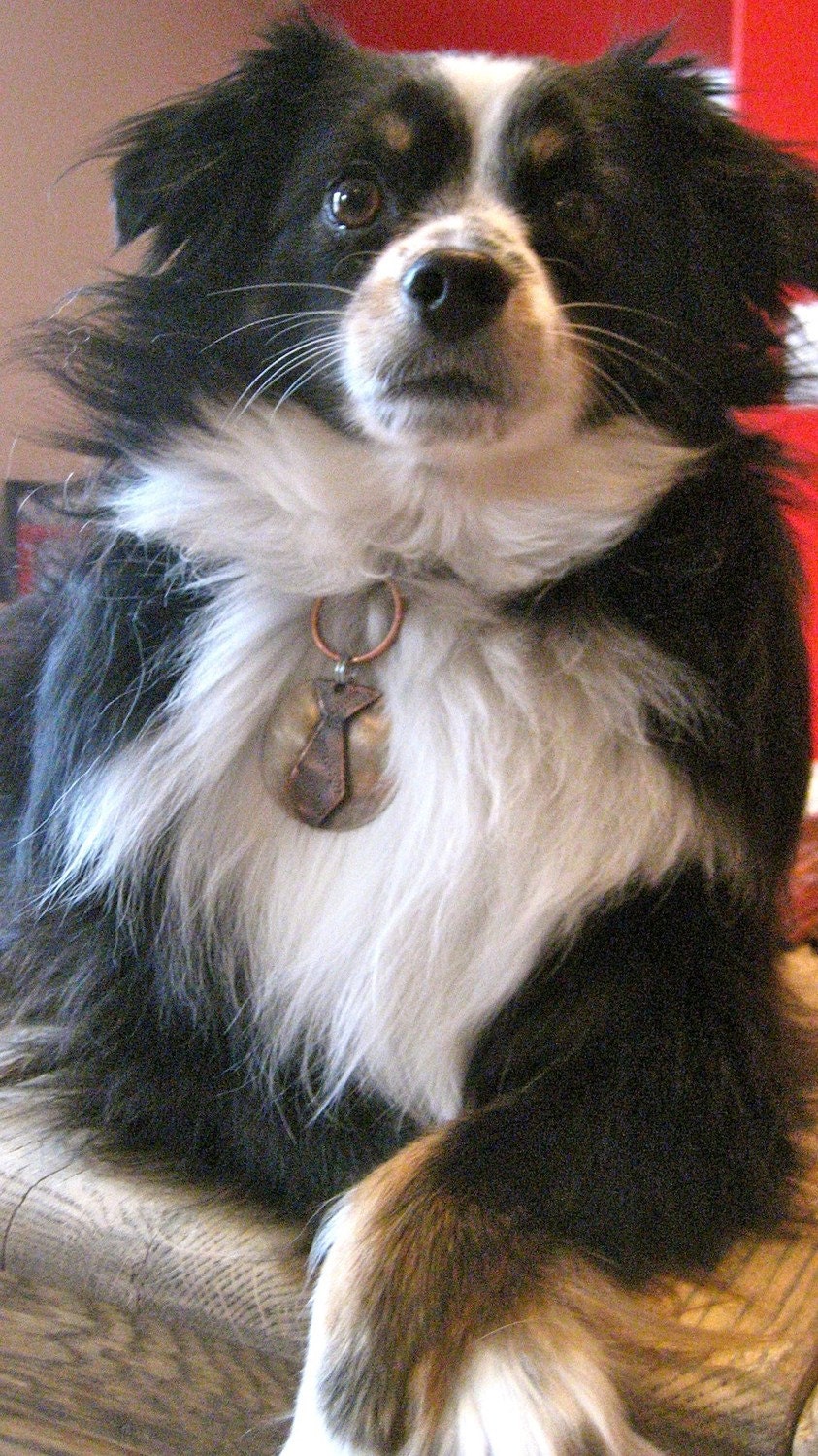 Mr. Wendal - neck tie personalized pet ID tag