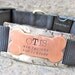 Custom pet ID quiet collar tag - The Bone