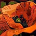 Mod Poppy - Giclee Art PRINT of Original Painting matted 12x12 by Jan Schmuckal