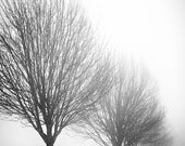 Black Ink in a Wet Sky 8 x 12 Black and White Photograph