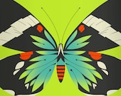 blue moth limited edition print (green version)