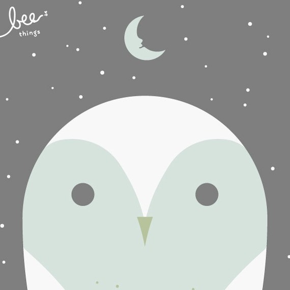 barn owl limited edition print