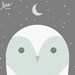 barn owl limited edition print