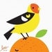 western tanager limited edition print