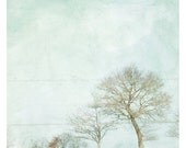 Neige