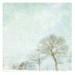 Neige
