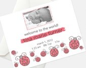 Ladybugs Baby Photo Announcement