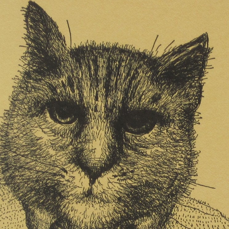 Ben's Cat