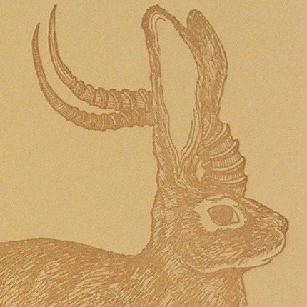 Sub Saharan Jackalope Card