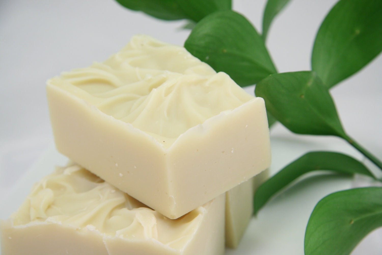 Tea Tree Shampoo Bar
