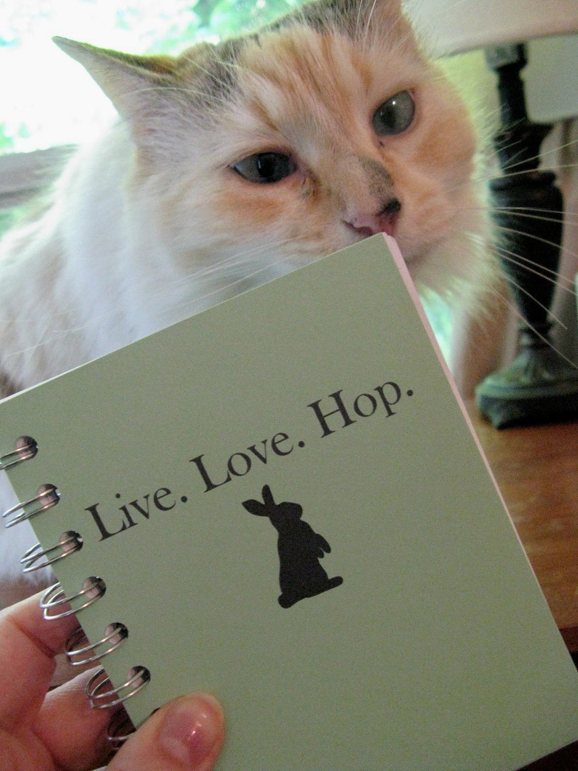 Journal - Live. Love. Hop.  (bunny) - Custom, Made to Order Sketchbook BLANK pages