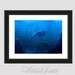 Collage photography under water photography 4x5 - geek wall art triops blue sea monster mixed media collage wall hanging - Cretaceous Ocean
