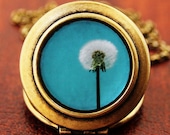 I Wish For A Blue Sky - Dandelion Flower Photo Locket Necklace